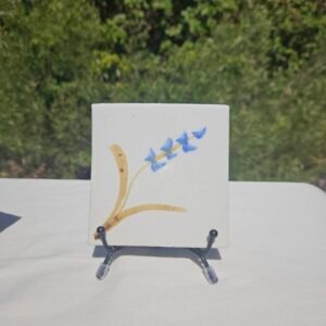 Coasters