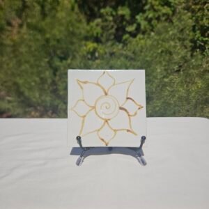 Coasters